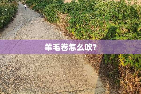 羊毛卷怎么吹？