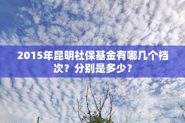 2015年昆明社保基金有哪几个档次？分别是多少？