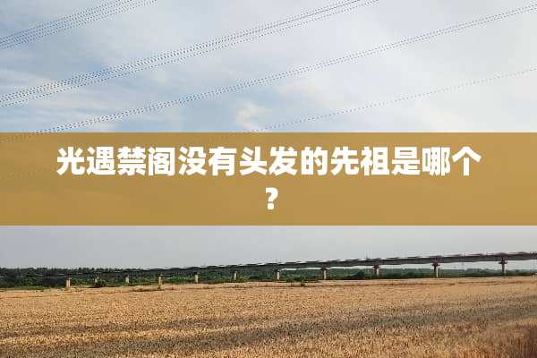光遇禁阁没有头发的先祖是哪个？