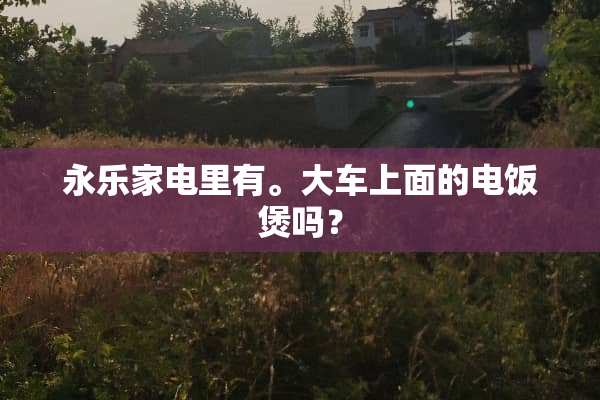 永乐家电里有。大车上面的电饭煲吗？