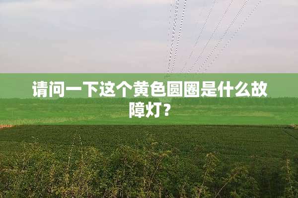 请问一下这个**圆圈是什么故障灯？