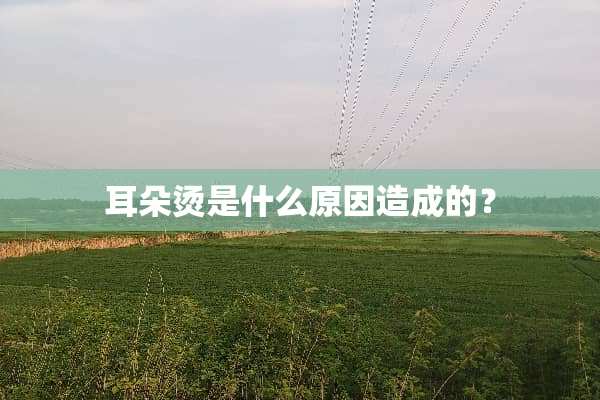 耳朵烫是什么原因造成的？