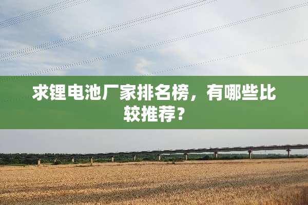 求锂电池厂家排名榜，有哪些比较推荐？
