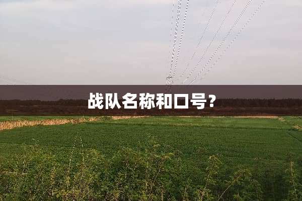 战队名称和口号？