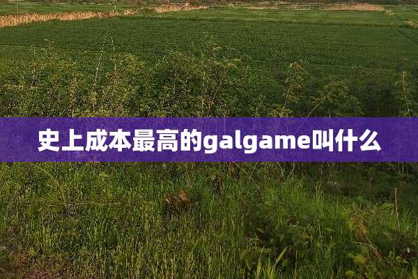史上成本最高的galgame叫什么