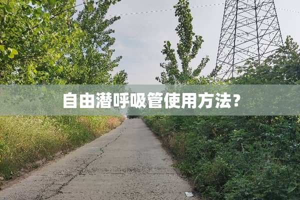 自由潜呼吸管使用方法？