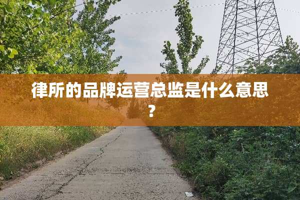 律所的品牌运营总监是什么意思？