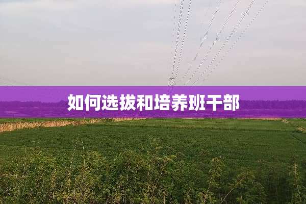 如何选拔和培养班干部