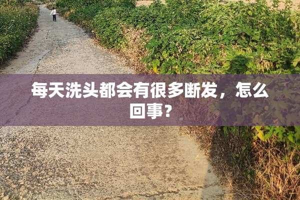 每天洗头都会有很多断发，怎么回事？