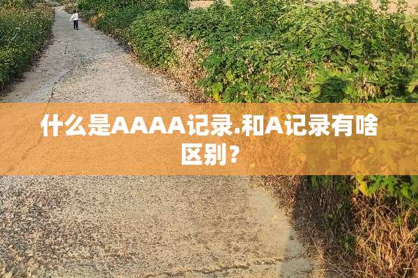 什么是AAAA记录.和A记录有啥区别？