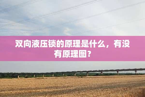 双向液压锁的原理是什么，有没有原理图？