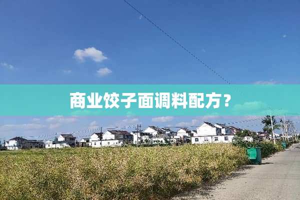 商业饺子面调料配方？
