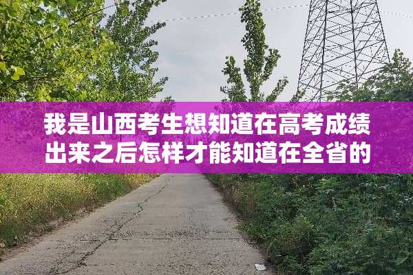 我是山西考生想知道在高考成绩出来之后怎样才能知道在全省的排名，一定要是山西的哦？