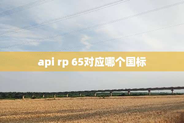 api rp 65对应哪个国标
