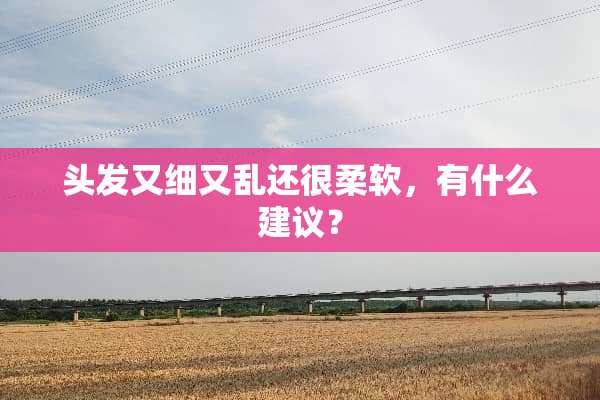头发又细又乱还很柔软，有什么建议？