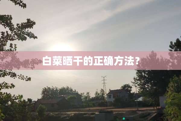 白菜晒干的正确方法？