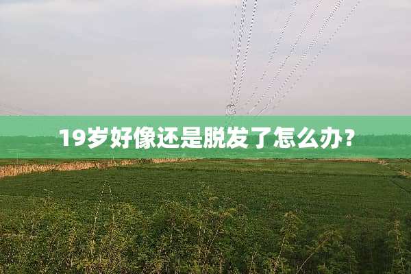19岁好像还是脱发了怎么办？