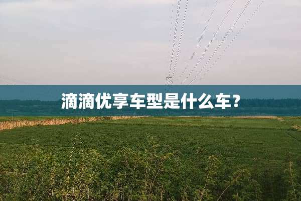 滴滴优享车型是什么车？