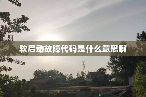 软启动故障代码是什么意思啊