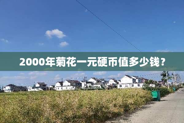 2000年菊花一元**值多少钱？