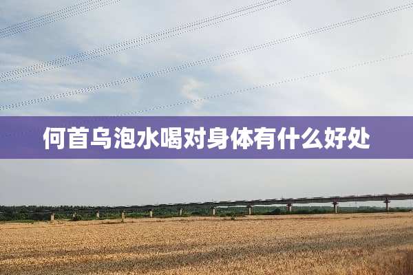 何首乌泡水喝对身体有什么好处