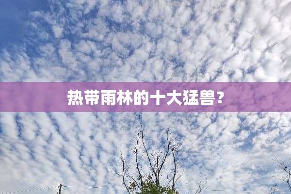 热带雨林的十大猛兽？