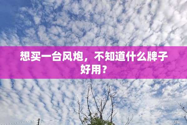 想买一台风*，不知道什么牌子好用？