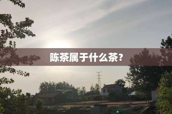 陈茶属于什么茶？