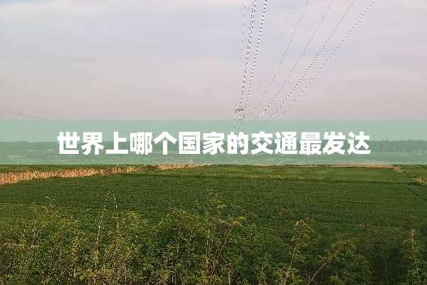 世界上哪个国家的交通最发达