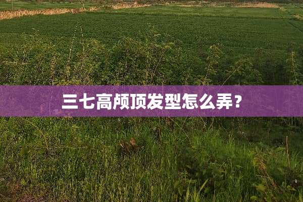 三七高颅顶发型怎么弄？