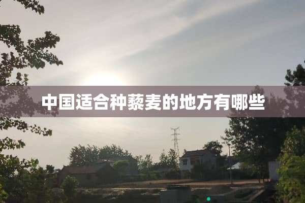 中国适合种藜麦的地方有哪些