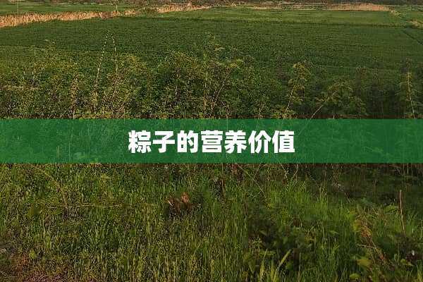 粽子的营养价值