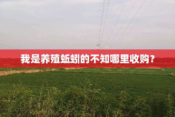 我是养殖蚯蚓的不知哪里收购？