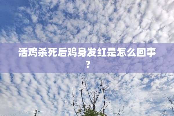 活鸡杀死后鸡身发红是怎么回事？