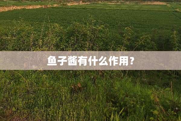 鱼子酱有什么作用？