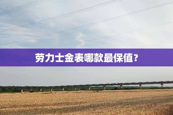 劳力士金表哪款最保值？