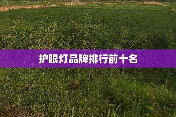 护眼灯品牌排行前十名