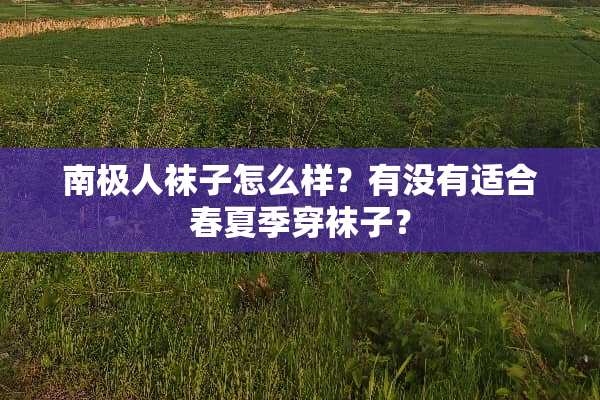 南极人袜子怎么样？有没有适合春夏季穿袜子？