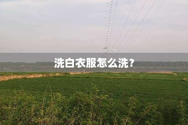 洗白衣服怎么洗？