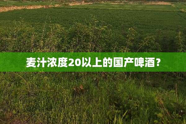麦汁浓度20以上的国产啤酒？