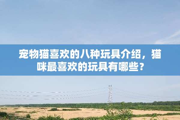 宠物猫喜欢的八种玩具介绍，猫咪最喜欢的玩具有哪些？