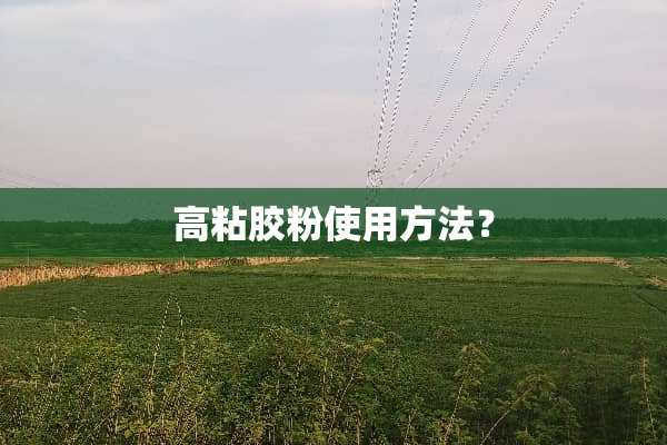 高粘胶粉使用方法？