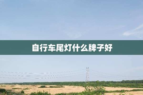 自行车尾灯什么牌子好