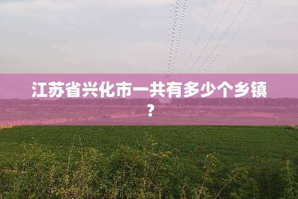 江苏省兴化市一共有多少个乡镇？