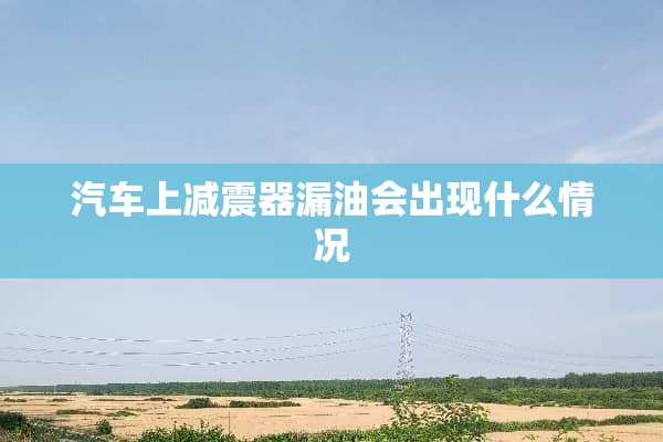 汽车上减震器漏油会出现什么情况