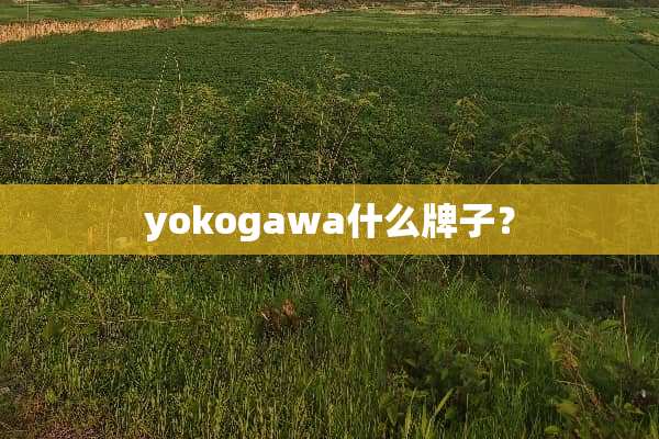 yokogawa什么牌子？