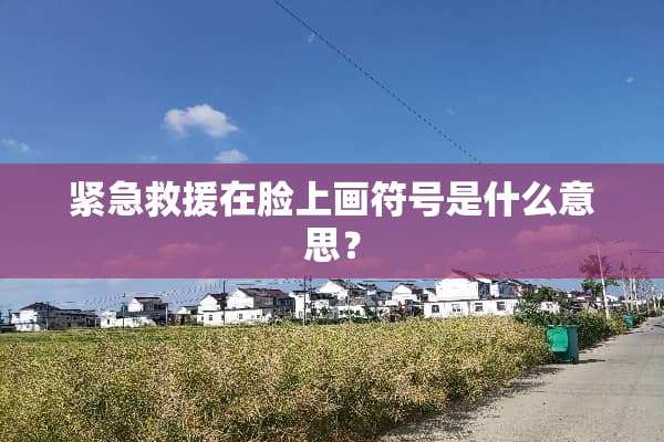 紧急救援在脸上画符号是什么意思？