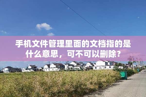 手机文件管理里面的文档指的是什么意思，可不可以删除？