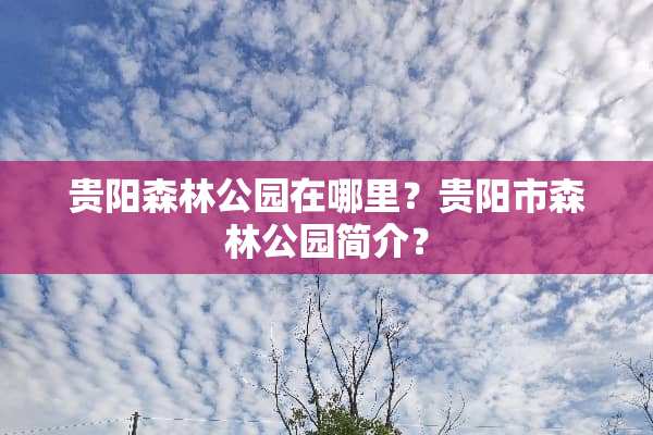 贵阳森林公园在哪里？贵阳市森林公园简介？