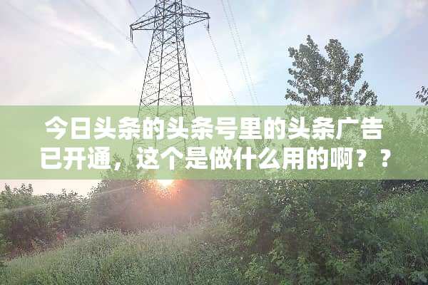 今日头条的头条号里的头条广告已开通，这个是做什么用的啊？？？？